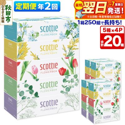 ふるさと納税 秋田市 [2回定期便]ティッシュ フラワーボックス 20箱 5箱×4P|15_nsc-070402
