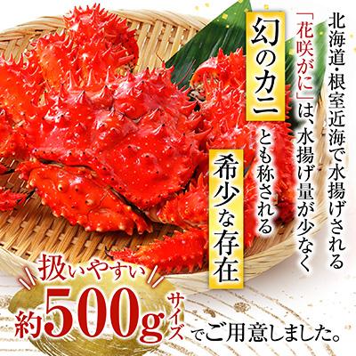 ふるさと納税 根室市 【北海道根室産】花咲がに500g前後×2尾 G-54002 |  | 01