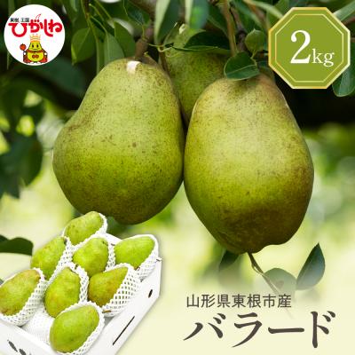 ふるさと納税 東根市 [2026年産]西洋梨 バラード 2kg 秀品 化粧箱入り hi027-190-r8