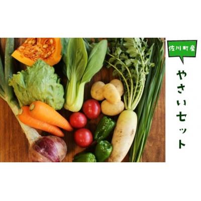ふるさと納税 佐川町 高知から直送!旬の季節のお野菜セット(7~9品)