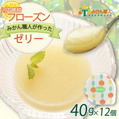 ふるさと納税 愛南町 [みかん 職人が作った フローズン ゼリー ] 40g×1種 計12個 河内晩柑 お試し アイス