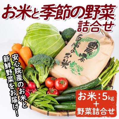ふるさと納税 宇佐市 産地直送!安心院のお米と季節の野菜詰合せ[103700102][小の岩の庄]