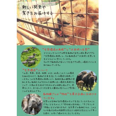 ふるさと納税 宇佐市 アフリカンサファリ入園券小人2枚【110600300】【九州アフリカ・ライオン・サファリ】 |  | 01
