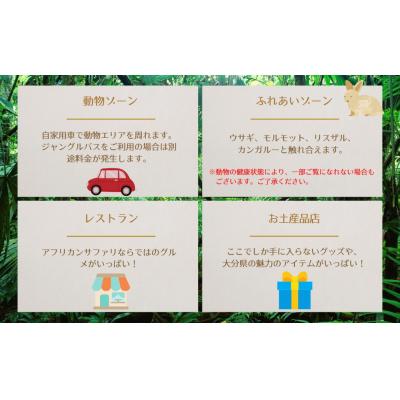 ふるさと納税 宇佐市 アフリカンサファリ入園券小人3枚【110600500】【九州アフリカ・ライオン・サファリ】 |  | 02