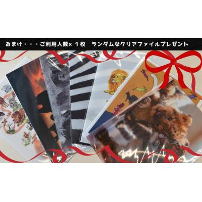 ふるさと納税 宇佐市 アフリカンサファリ入園券大人2枚【110600600】【九州アフリカ・ライオン・サファリ】 |  | 03