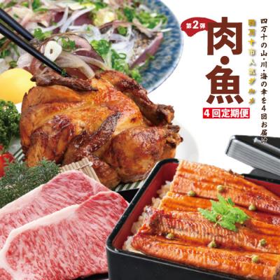 ふるさと納税 四万十市 [4ヵ月連続定期便]四万十市人気魚介&amp;お肉返礼品 第2弾 7