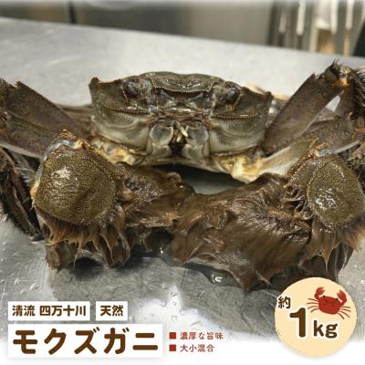 ふるさと納税 四万十市 濃厚な旨み!清流四万十川・天然モクズガニ 約1kg(大小混合) R7