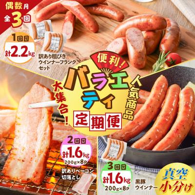 ふるさと納税 鹿児島市 [全3回偶数月]バラエティ定期便 K161-T04