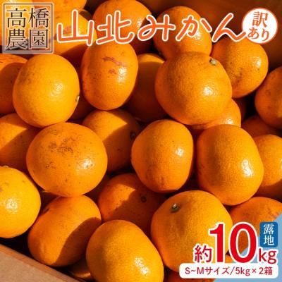 ふるさと納税 香南市 家庭用 山北みかん5kg露地(S〜M)B品 小傷あり×2箱(合計10kg) 高橋農園 th-0011