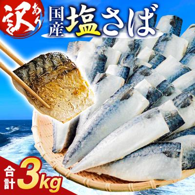 ふるさと納税 石巻市 さば [ 訳あり ] 国産 塩さば フィーレ 3kg 冷凍 さば 切身 フィレ 鯖 不揃い 石巻市
