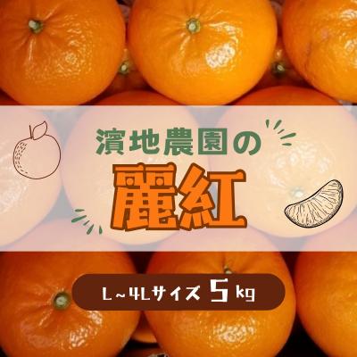 ふるさと納税 紀宝町 L-4Lサイズ 不揃い 濱地農園の麗紅(れいこう) 約5kg(箱込み) [mha003A]