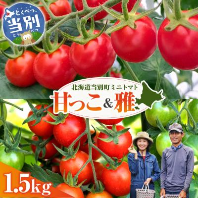 ふるさと納税 当別町 北海道当別町産ミニトマト:甘っ子・雅1.5kg_tb36-004