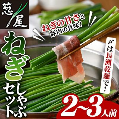 ふるさと納税 宇佐市 鉄板バル葱屋の ねぎしゃぶセット(2〜3人前)[110700501][葱屋おおくぼ]