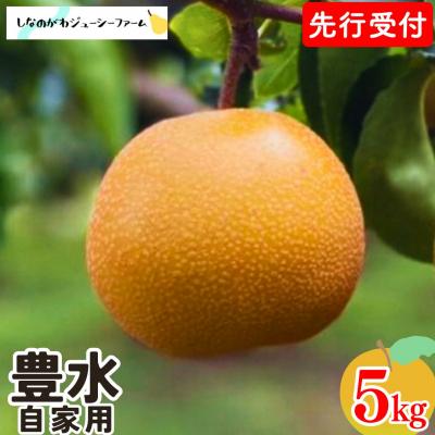ふるさと納税 三条市 先行受付 和梨 豊水 自家用 約5kg 令和8年度 しなのがわジューシーファーム 【010S481】