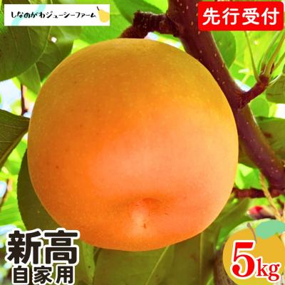 ふるさと納税 三条市 先行受付 和梨 新高 自家用 約5kg 令和8年度 しなのがわジューシーファーム 【010S491】 | 