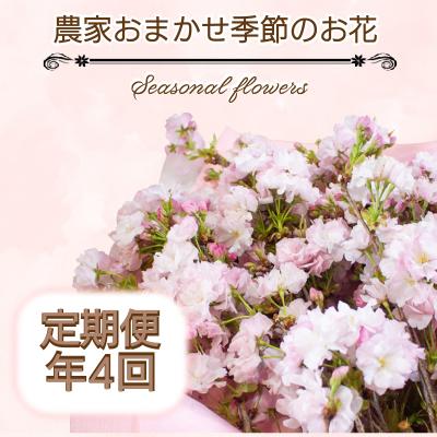 ふるさと納税 下関市 季節のお花 定期便 年4回 おまかせ 草花 誕生日 記念日 ギフト 下関 山口