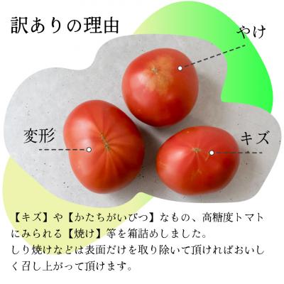 ふるさと納税 佐川町 〈2026年12月下旬〜順次発送〉訳あり フルーツトマト 約1.6kg 原田農園 |  | 01