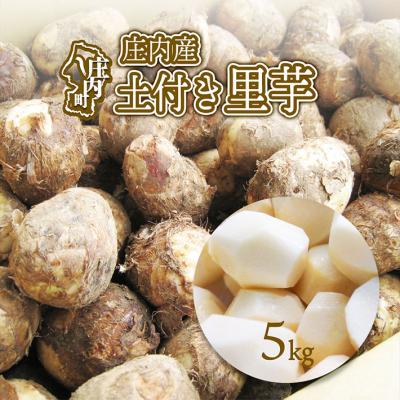 ふるさと納税 庄内町 [R8.11月中旬より順次発送]庄内産 土付き里芋 5kg(入金期限:2026.12.10)