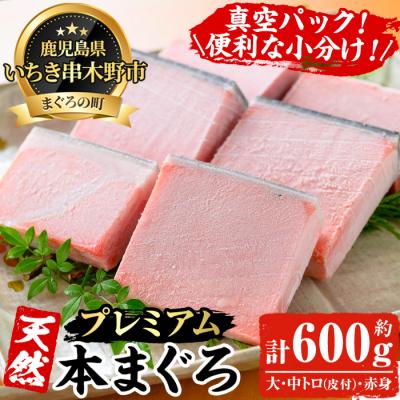 ふるさと納税 いちき串木野市 天然本マグロ 大トロ・中トロ・赤身 各100g×2 計600g