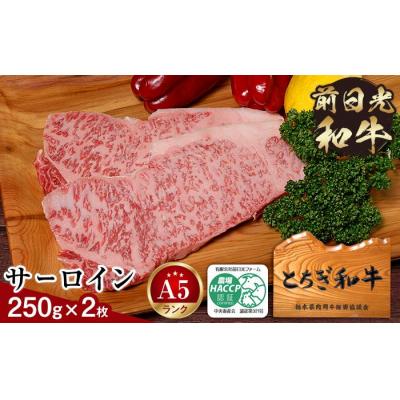 ふるさと納税 栃木市 とちぎ和牛・前日光和牛(サーロイン250g 2枚)
