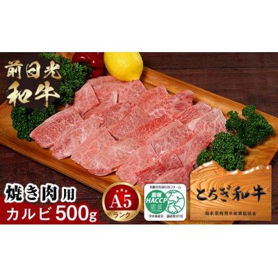ふるさと納税 栃木市 とちぎ和牛・前日光和牛(焼き肉用カルビ500g)