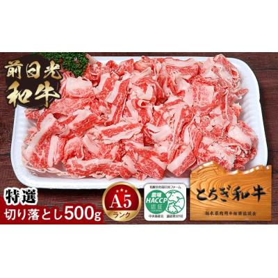 ふるさと納税 栃木市 とちぎ和牛・前日光和牛(特選切り落とし500g)