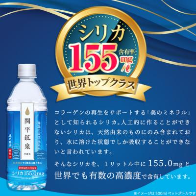 ふるさと納税 霧島市 <定期便・全3回>関平鉱泉水10L×2箱ずつお届け(計6箱)【関平鉱泉所】　K-185 |  | 02