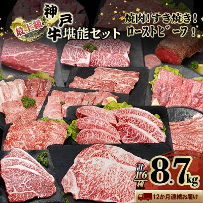 ふるさと納税 加西市 神戸牛 12か月定期便 ブランド牛 ステーキ しゃぶしゃぶ 焼肉 セット[No5698-1573]