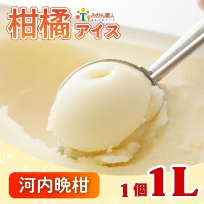 ふるさと納税 愛南町 みかん職人が作った柑橘 アイス 河内晩柑 1000ml×1 シャーベット みかん職人武田屋