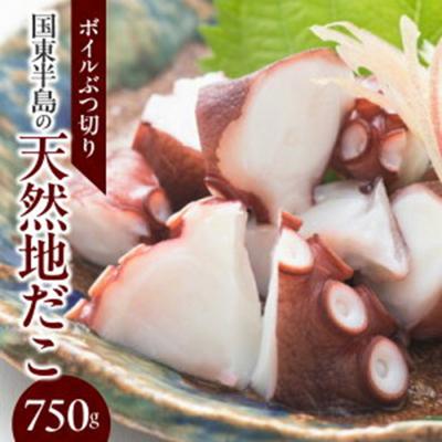 ふるさと納税 国東市 国東半島の天然地だこ750g/ボイルぶつ切り_0013N-1