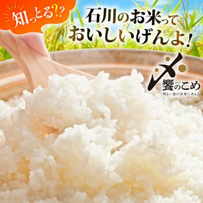 ふるさと納税 宝達志水町 【定期便 3回】 石川米 こしひかり 5kg 計15kg 令和8年産 新米 [38601207] |  | 02