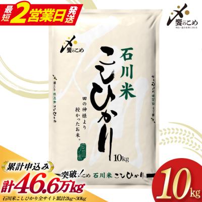 ふるさと納税 宝達志水町 米 令和7年 石川米 こしひかり 精米 10kg [中橋商事 宝達志水町 38601198]