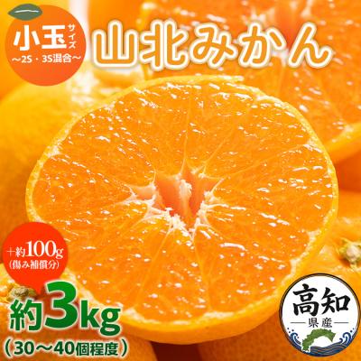 ふるさと納税 香南市 みかん小玉3kg 3キロ 温州みかん 山北 甘い 糖度 人気 yk-0077