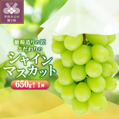 ふるさと納税 甲府市 [☆先行受付☆2026年/令和8年発送分]シャインマスカット(こだわり)650g以上[1房]