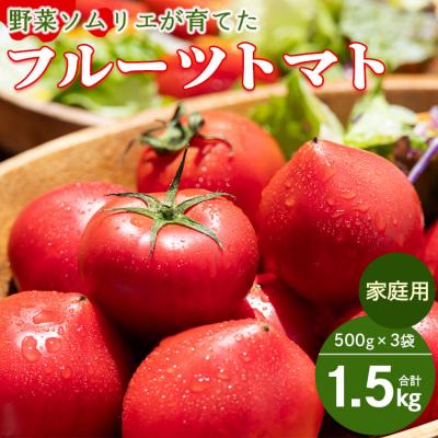 ふるさと納税 香南市 [先行受付]野菜ソムリエが育てた 家庭用 フルーツトマト 合計1.5kg mj-0021