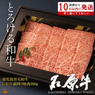 ふるさと納税 徳之島町 世界が絶賛した“とろける和牛"石原牛 霜降り焼肉300g