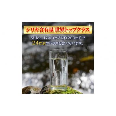 ふるさと納税 霧島市 《定期便:3回》Silica117 2Lペットボトル×6本ずつ【シャディ】K-134-Cの画像