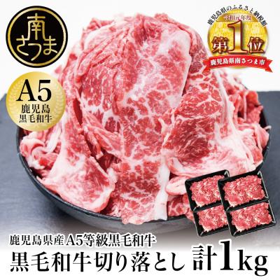 ふるさと納税 南さつま市 [鹿児島県産] A5等級黒毛和牛切落し 計1kg(250g×4P)