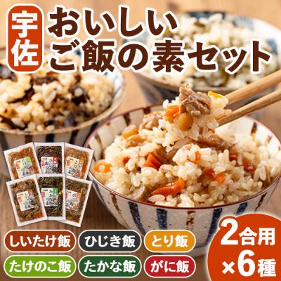 ふるさと納税 宇佐市 宇佐おいしいご飯の素セット(6種)[102200101][観光館 文福]