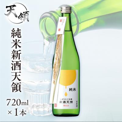 ふるさと納税 下呂市 [天領酒造]純米しぼりたて生酒 新酒天領(720ml×1本)[2-27]
