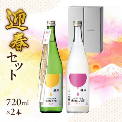 ふるさと納税 下呂市 (迎春セット)純米しぼりたて生酒 新酒天領・生酒発泡にごり酒[2-38]