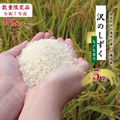ふるさと納税 四万十市 [令和7年産]沢のしずく(ヒノヒカリ)5kg