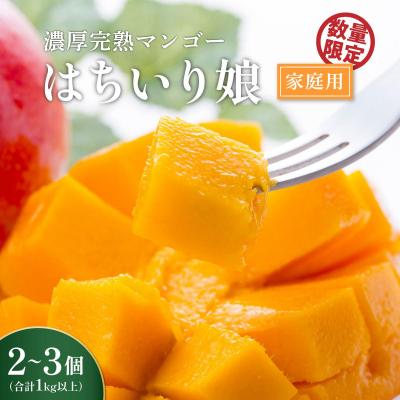 ふるさと納税 大崎町 [数量限定/先行受付]マンゴー「はちいり(鉢入り)娘」(ご家庭用1kg箱入り)
