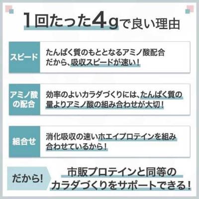 ふるさと納税 川崎市 味の素 アミノバイタル アミノプロテイン 60本 粉末 スティック アミノ酸 ホエイ カシス味_2