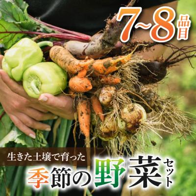 ふるさと納税 東御市 [先行受付2026年発送]長野県東御市産生きた土壌で育った『季節の野菜セット』|里山JAPAN