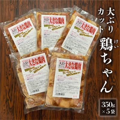 ふるさと納税 下呂市 炭火焼肉大臣の大きめカット鶏ちゃん(350g×5袋)けいちゃん[83-18]
