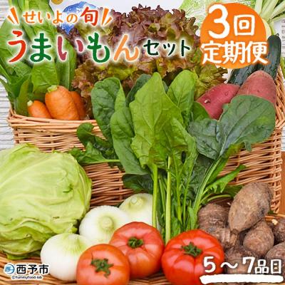 ふるさと納税 西予市 &lt;せいよのうまいもんセット 3回定期便&gt; 西予市産 愛媛県産 国産 旬 季節の野菜 やさい