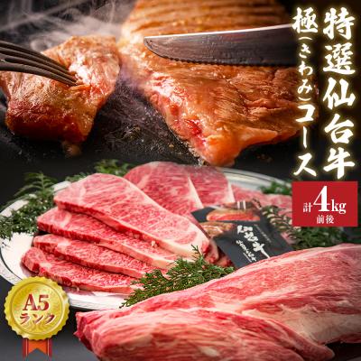 ふるさと納税 石巻市 特選 仙台牛 “極" 合計4kg前後 フィレ シャトーブリアン サーロイン A5 黒毛和牛 宮城県