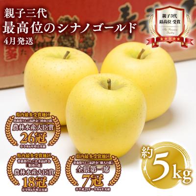 ふるさと納税 平川市 [4月発送] 親子三代最高位のシナノゴールド約5kg