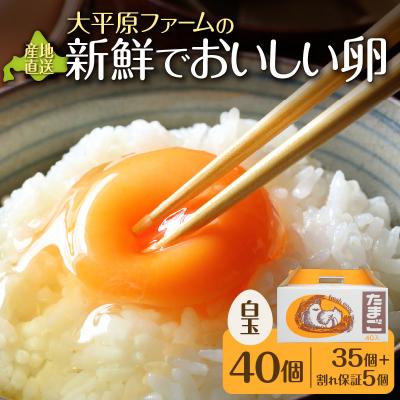 ふるさと納税 清水町 大平原ファームの新鮮でおいしい卵(白卵) 40個
